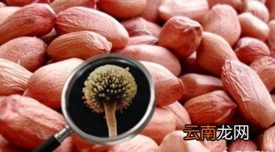 什么食物最伤肝养肝要怎么做