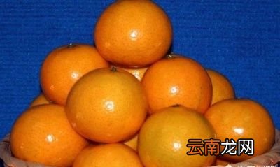 究竟用哪个树种做砧木嫁接皇帝柑比较好