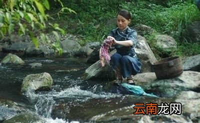 为什么皂荚树的果实可以用来当肥皂使用