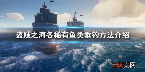 盗贼之海稀有鱼类怎么钓 盗贼之海各稀有鱼类垂钓方法介绍