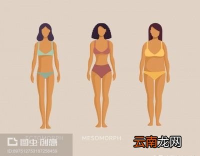 为什么有一些人总是不瘦