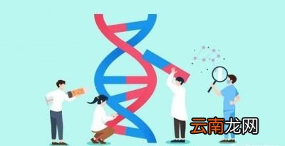 喝牛奶会让孩子更高吗
