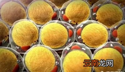 排除了脂肪的问题那为什么说全脂的奶粉好呢