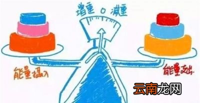 减肥期间晚餐怎么吃
