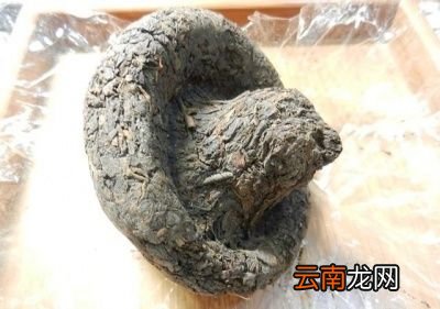 普洱茶生茶与熟茶如何辨别