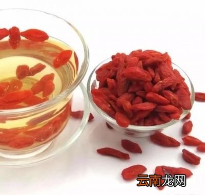 经常饮用枸杞水对于身体有何作用