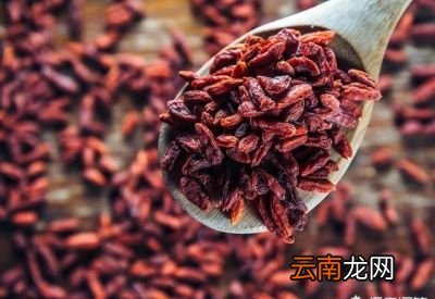 枸杞泡茶的作用