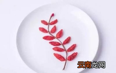 枸杞泡水喝有什么好处