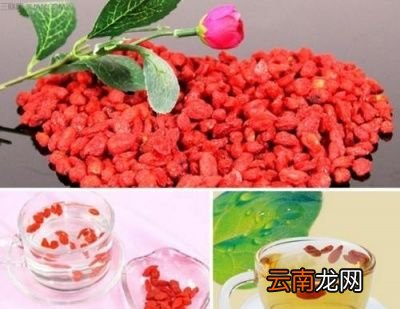 用枸杞泡茶的作用