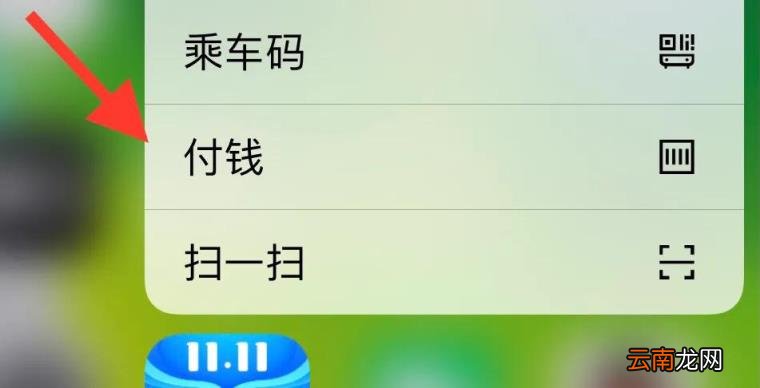 苹果手机自带支付功能在哪里 苹果手机支付设置在哪