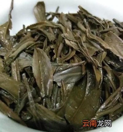 35年了还是绿茶吗
