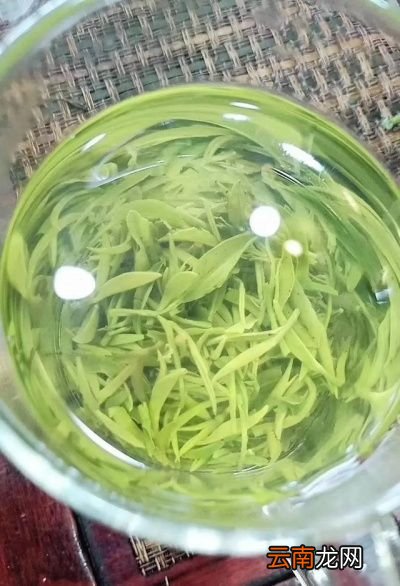 绿茶超过十年还能喝吗