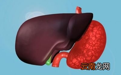 如何通过食疗养肝