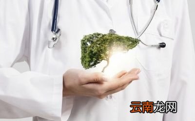 如何通过食疗养肝