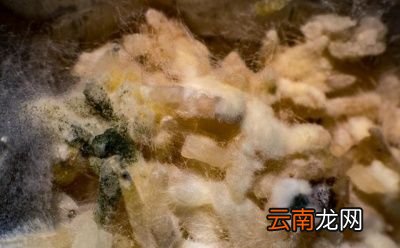 最伤肝的食物是什么如何食疗养肝