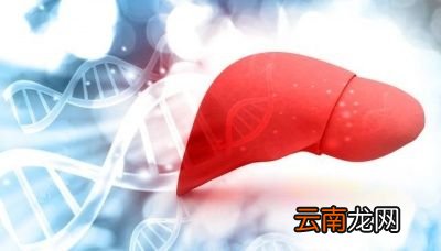 最伤肝的食物是什么如何食疗养肝