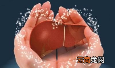 养肝最不该吃什么食物最伤肝的是什么