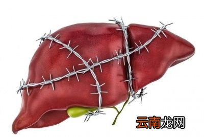说完了伤肝的行为如何养肝呢