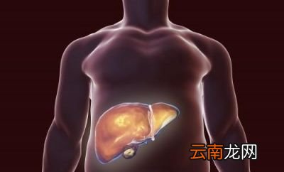 最伤肝的食物是什么