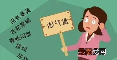 体内湿气严重有什么表现