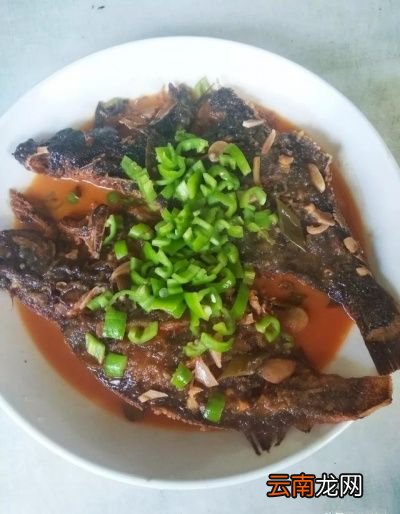 如何正确的保存剩饭和剩菜以及正确的食用