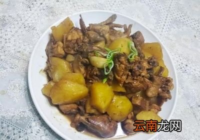 如何正确的保存剩饭和剩菜以及正确的食用