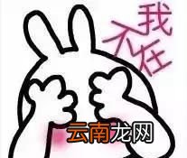 “开几指”到底怎么度量