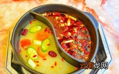 食用油之间的差异有多大