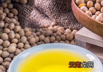 什么样的食用油适合炸东西