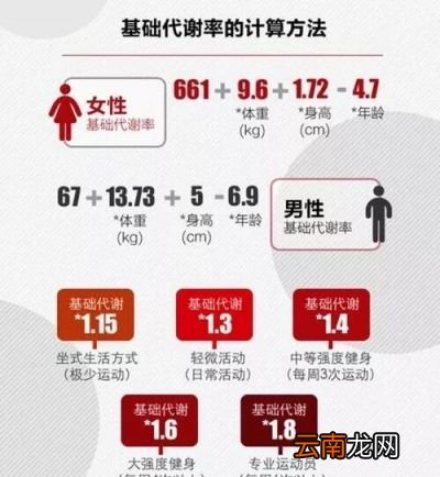 减肥期间早餐如何吃