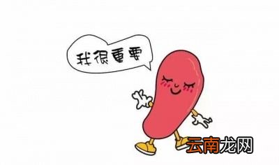 多吃一些什么健脾的食物对