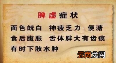 多吃一些什么健脾的食物对