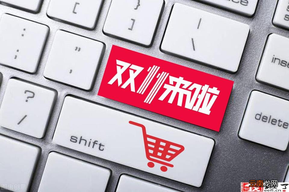 京东白条账单日是还款日吗 白条还款日期怎么才9天