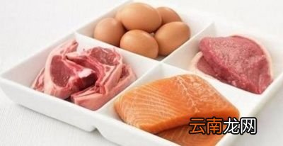 不吃晚餐对身体健康有益还是有害