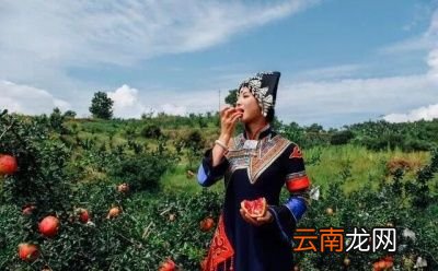 一般石榴裂果可以通过以下方法防治