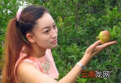 一般石榴裂果可以通过以下方法防治