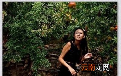 一般石榴裂果可以通过以下方法防治
