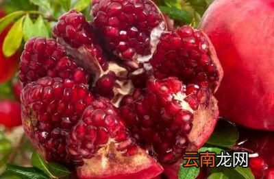 一般石榴裂果可以通过以下方法防治