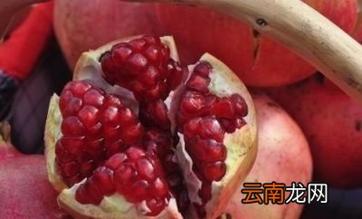 石榴果开裂是什么原因如何防治