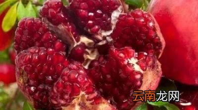 石榴出现裂果的原因