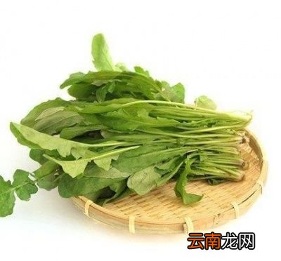 吃荠菜猪肉饺子的好处