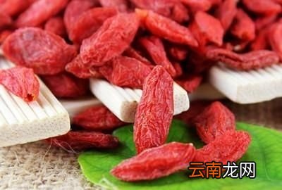 枸杞有几个好搭档搭配菊花更能亮眼