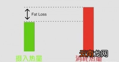 上班族健身减脂饮食该怎么安排