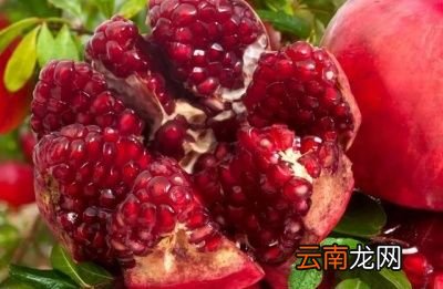 吃石榴有哪些好处呢