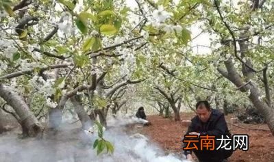“春分”下雨好不好