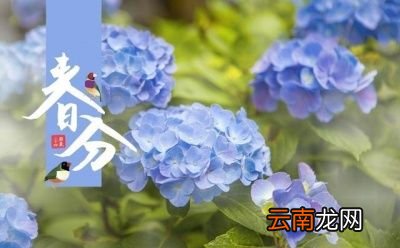“春分”下雨好不好