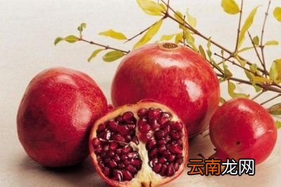 石榴有什么作用