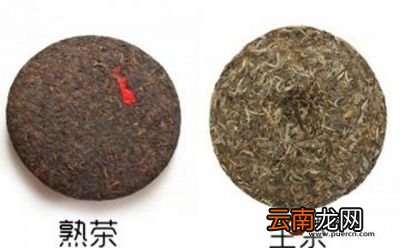 生普洱茶和熟普洱茶分别方法