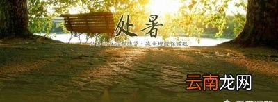 2019年处暑是几号