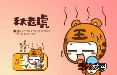 2019年处暑是几号